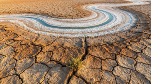 Cracked desert lakebed with a thin ribbon of water remaining, symbolizing the US water crisis
